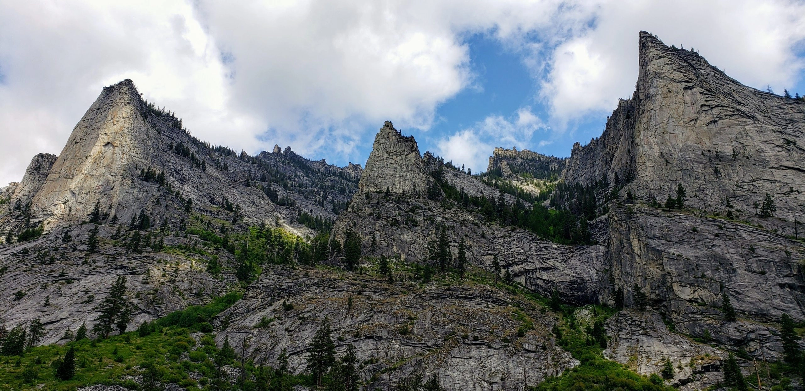 Montana Summer In The Bitterroot