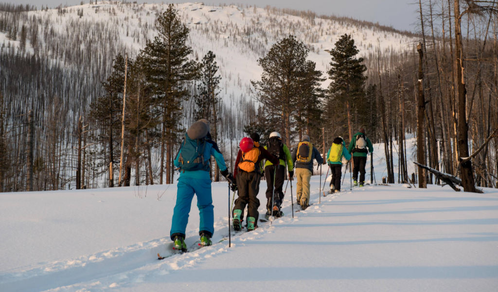Backcountry Skiing Group