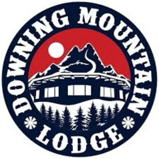 cropped-cropped-dml-logo-1.jpeg